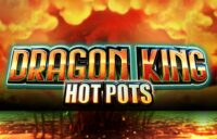 Dragon King Hot Pots logo