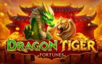 Dragon Tiger Fortunes logo