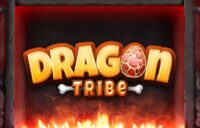 Dragon Tribe logo