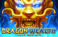 Dragon Wealth logo