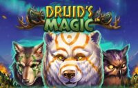 Druid’s Magic logo
