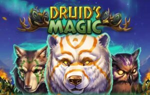 Druid’s Magic