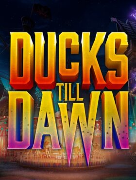 Ducks till Dawn