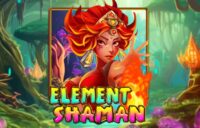Element Shaman logo