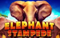 Elephant Stampede logo