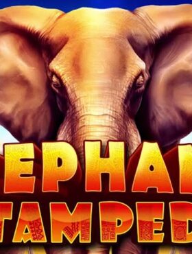 Elephant Stampede