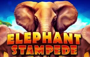 Elephant Stampede