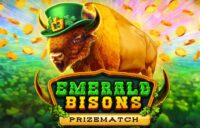 Emerald Bisons PrizeMatch logo