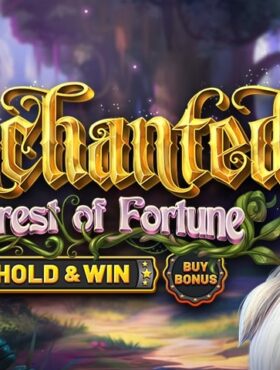 Enchanted Forest of Fortune