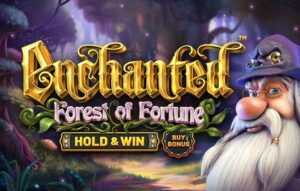 Enchanted Forest of Fortune