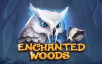 Enchanted Woods logo