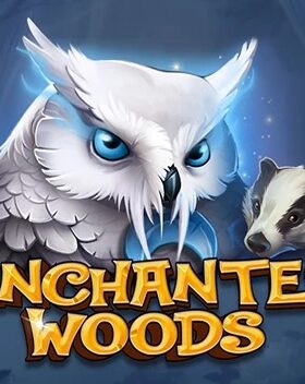 Enchanted Woods