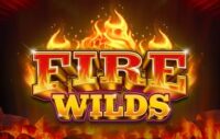Fire Wilds logo
