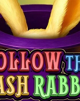 Follow the Cash Rabbit