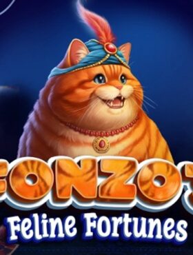 Fonzo’s Feline Fortunes