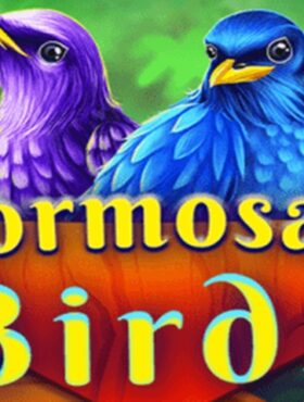 Formosan Birds