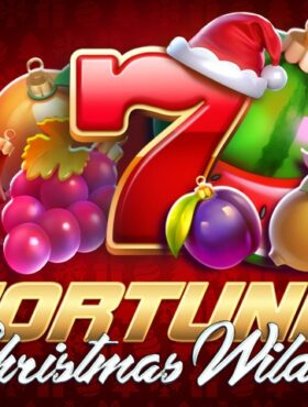 Fortune Christmas Wild