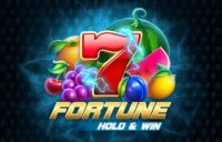 Fortune Hold and Winsa logo