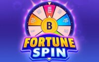 Fortune Spin logo