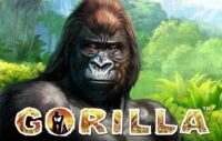 Gorilla logo