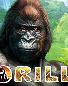 Gorilla