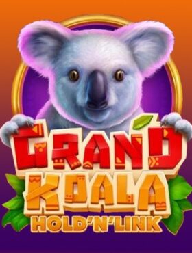 Grand Koala Hold ‘N’ Link