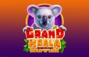 Grand Koala Hold ‘N’ Link