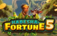 Habesha Fortune 5 logo