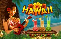 Hawaii logo