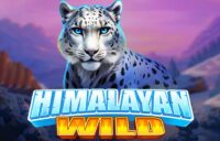 Himalayan Wild logo