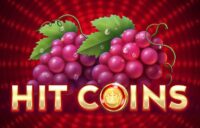 Hit Coins 2 Hold and Spin logo