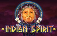 Indian Spirit logo