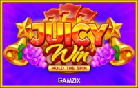 Juicy Win Hold The Spin logo