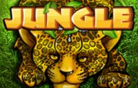 Jungle logo
