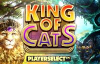 King of Cats Megaways logo