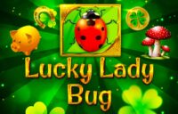 Lucky Lady Bug logo