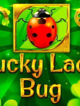 Lucky Lady Bug