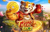 Lucky Tiger Gold logo