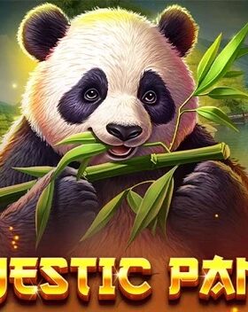 Majestic Panda