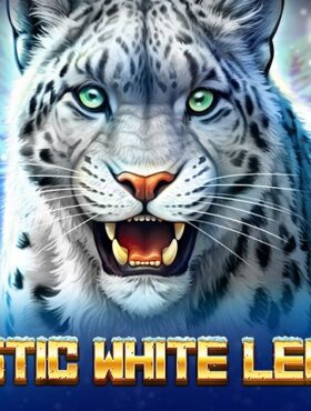 Majestic White Leopard