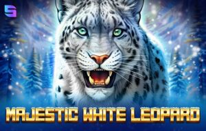 Majestic White Leopard