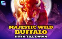 Majestic Wild Buffalo — Dusk Till Dawn logo