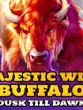 Majestic Wild Buffalo — Dusk Till Dawn