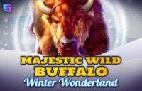 Majestic Wild Buffalo — Winter Wonderland logo