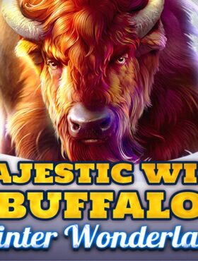 Majestic Wild Buffalo — Winter Wonderland