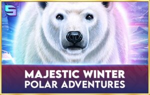 Majestic Winter — Polar Adventures