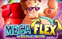 Mega Flex — Hold & Win logo