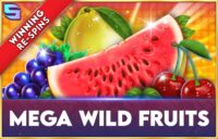 Mega Wild Fruits logo