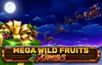 Mega Wild Fruits — Xmas logo