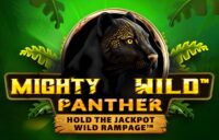 Mighty Wild Panther logo